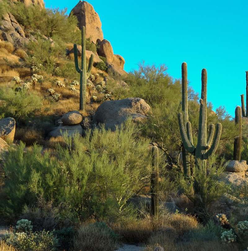 Paradise Valley
